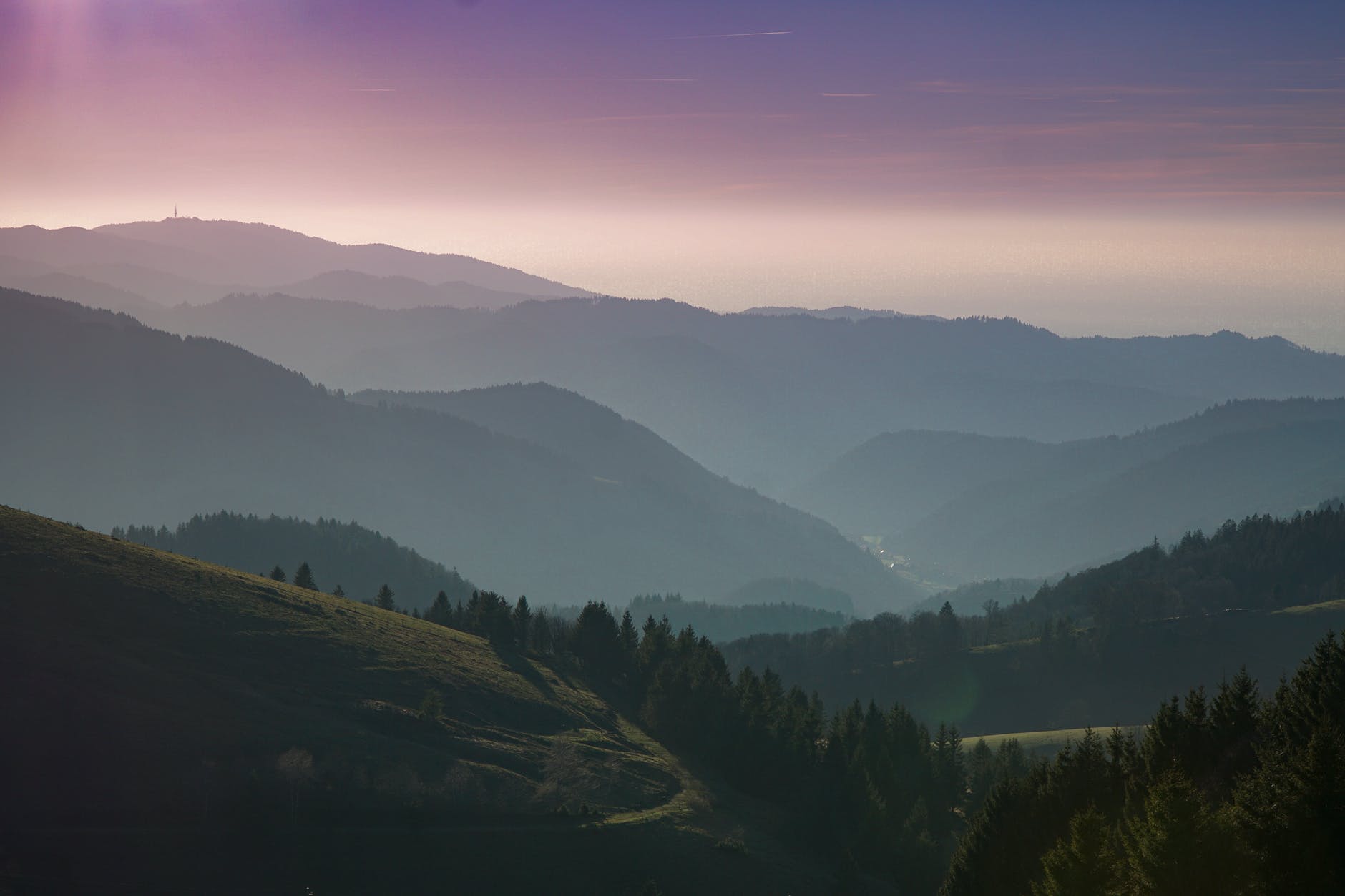 green trees near mountain